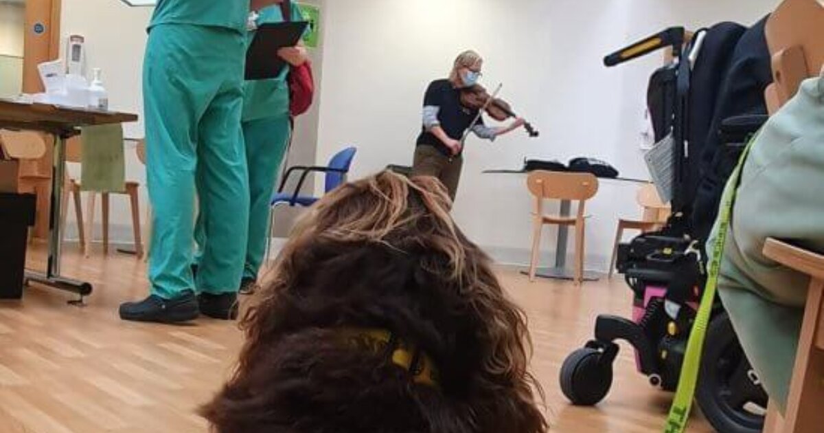 Viola & dog therapy at Addenbrooke’s Britten Sinfonia
