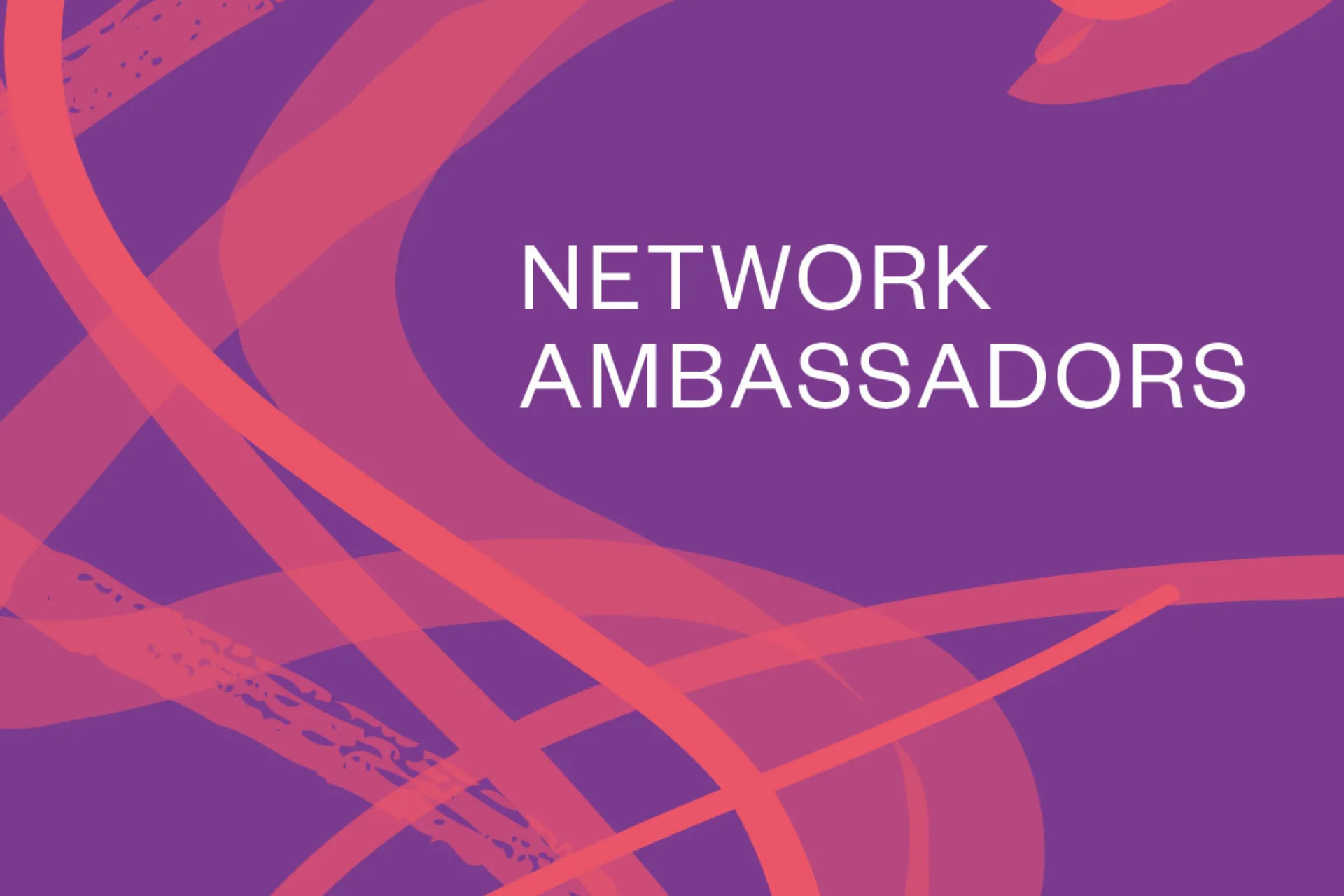 Britten Sinfonia Network Ambassadors